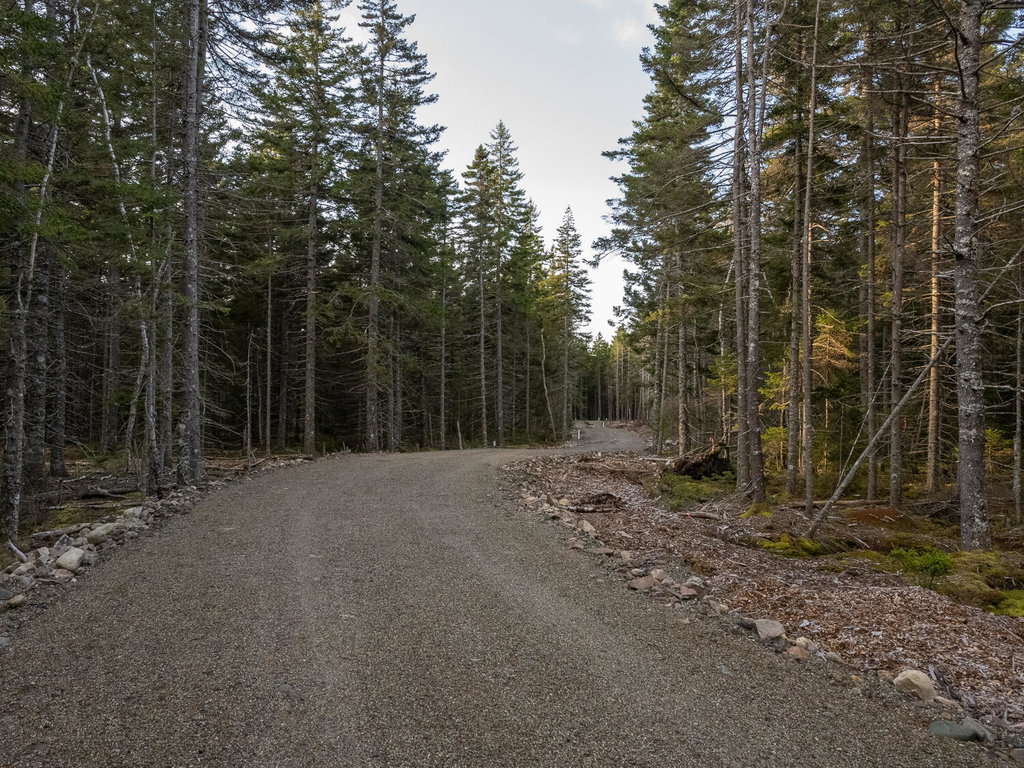 Acadia Pines Road 3