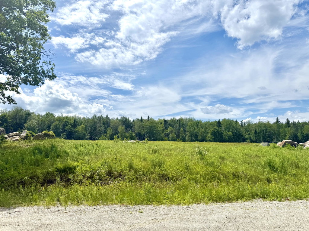 Lot 9