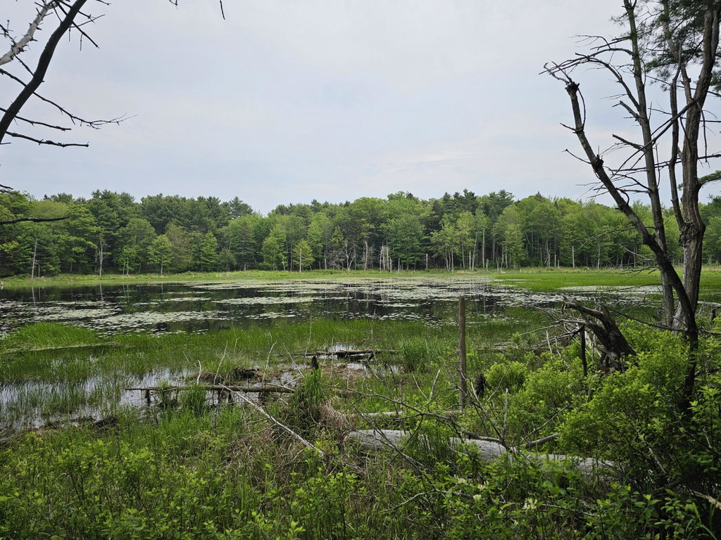 105-26 Back Eighty Road Boothbay