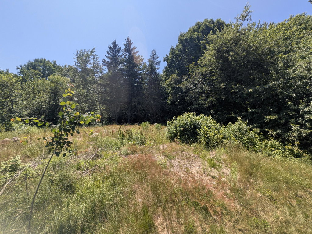 PXL_20260708_173141599