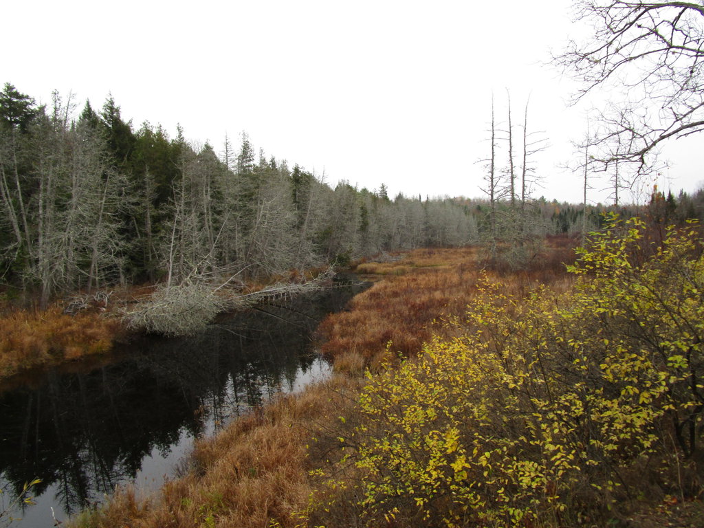 lot 25 medford center  Medford