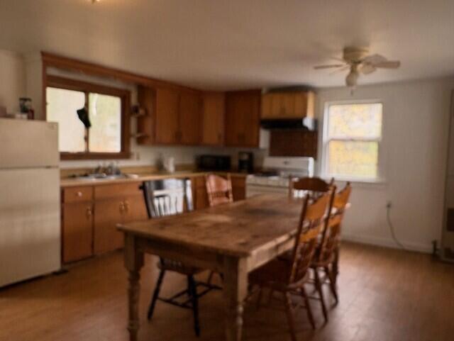 thumbnail_IMG_6078 (1)