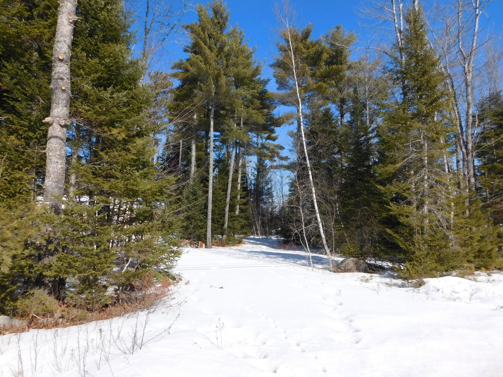 638 Greenfield Road Greenbush