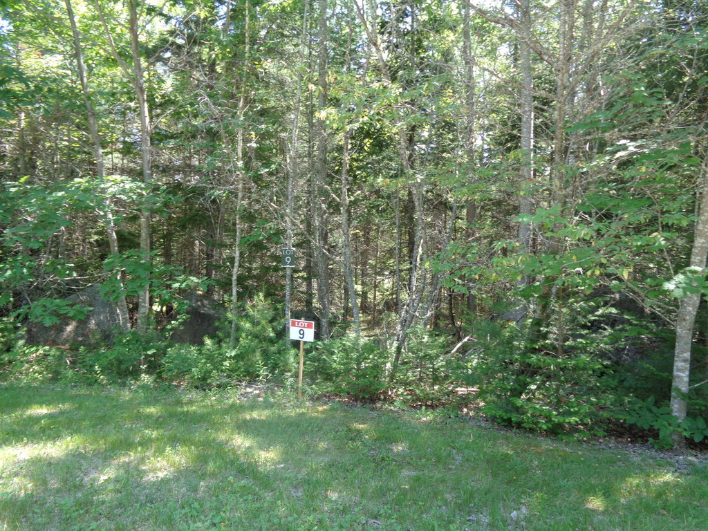Lot 9 Bailey Mountain Road Franklin