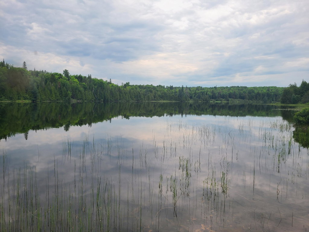Lot 4 & 5 Russell Lake Road Linneus