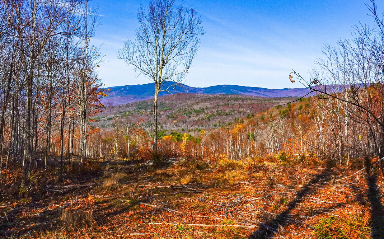 Lot 4 Mine Road Stoneham
