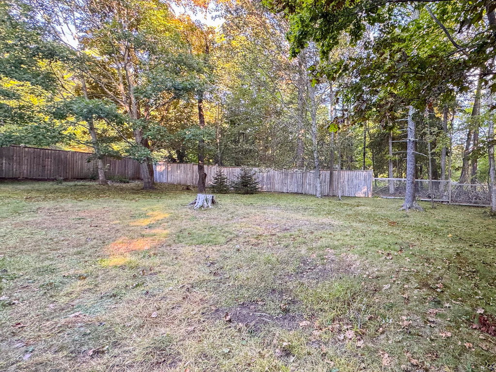 Side Yard