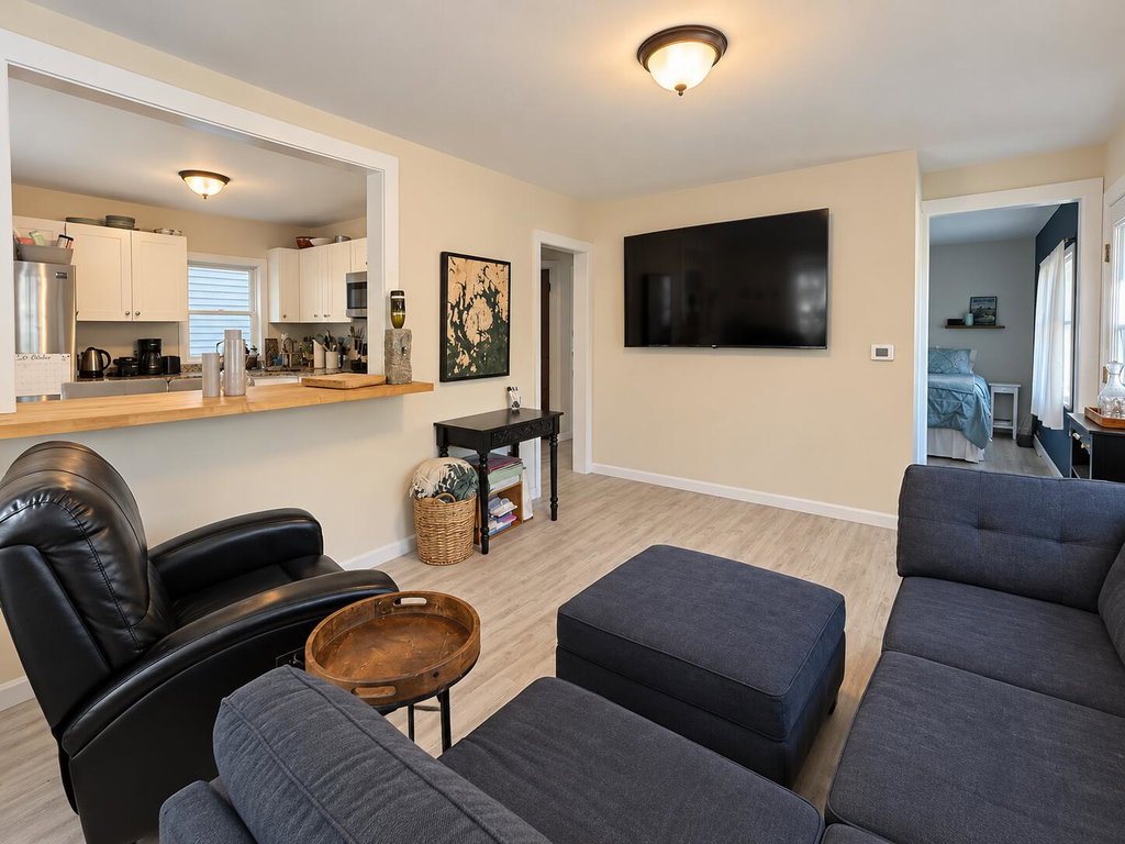 Cozy Contemporary Living Room and Kitche