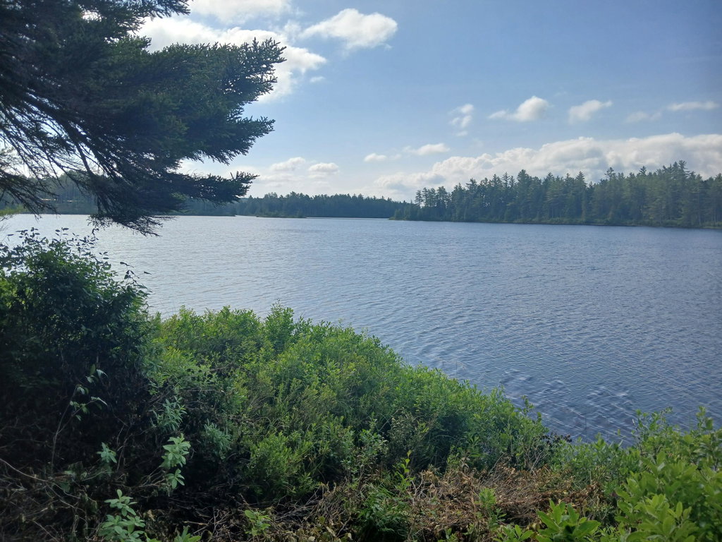 Lot # 16.1 Middle Road Carrying Place Town Twp