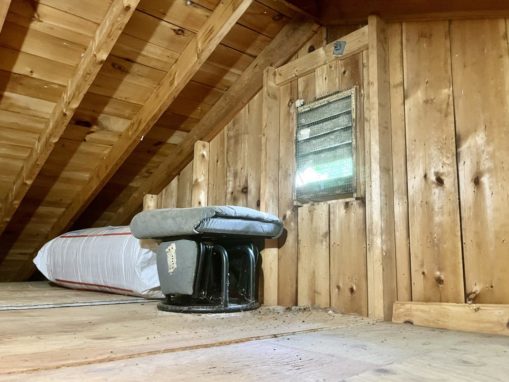 IMG_3555