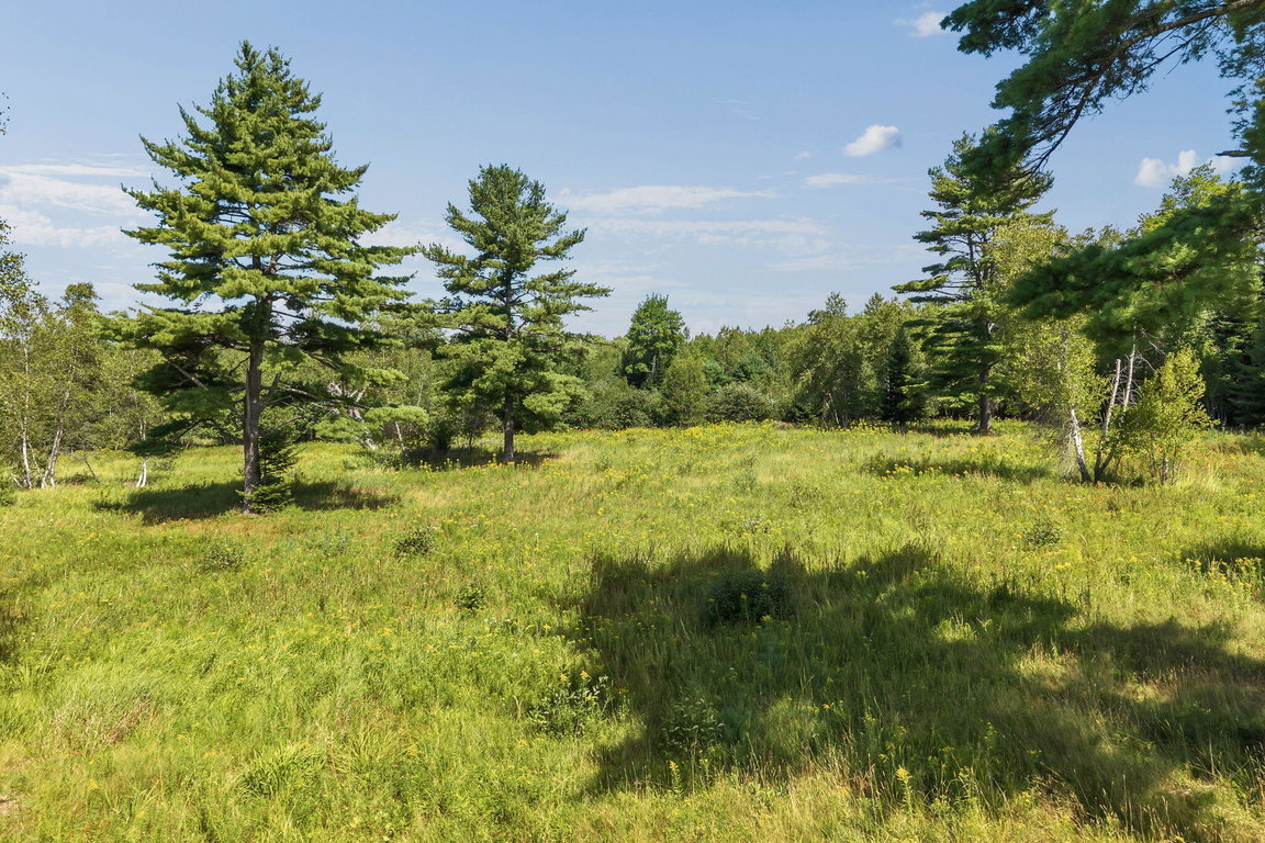 118-web-or-mls-368-partridge-cove-rd