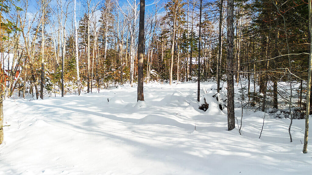 2010 Pine Road Carrabassett Valley