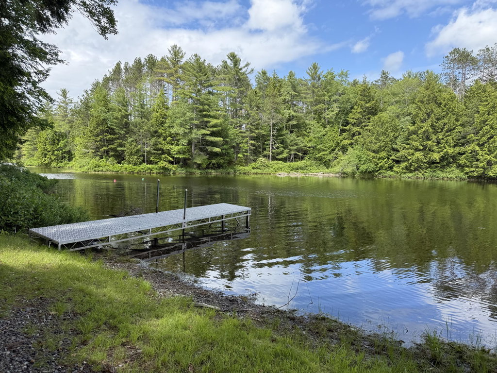 Springy Pond!