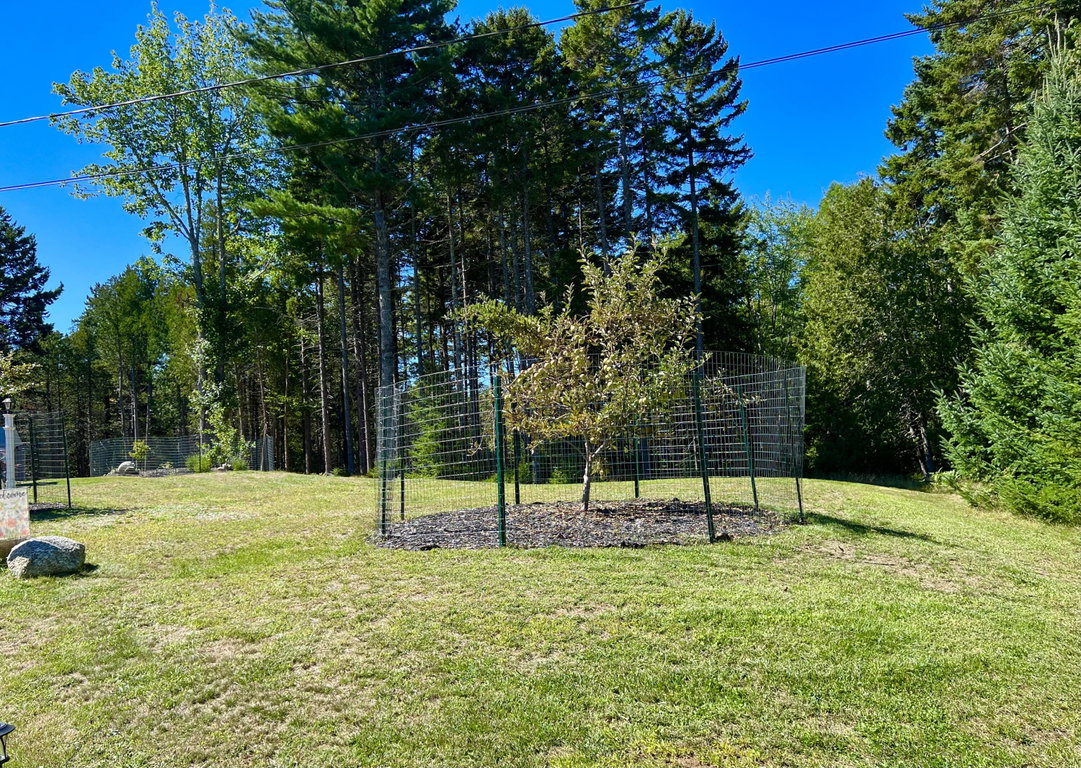 Gardens