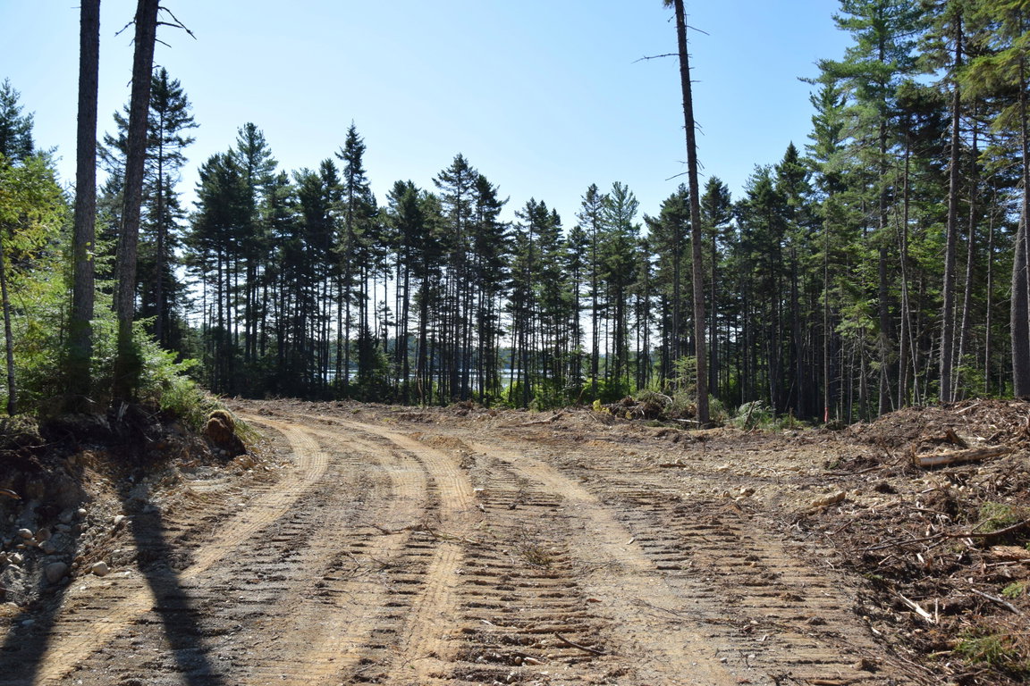 MS03l17.3 Middle Carry Pond Road Carrying Place Twp