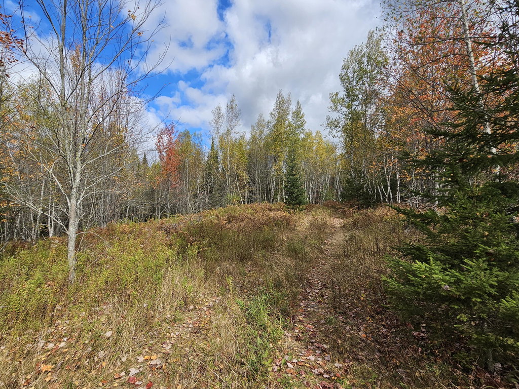 Map R09, Lot 12, Fox Run Drive Mariaville