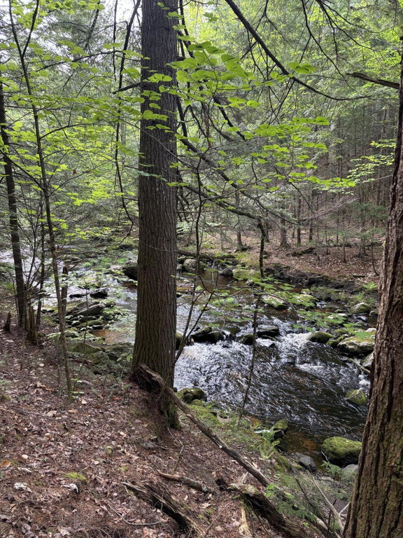 5 Bog Brook Loop West Paris