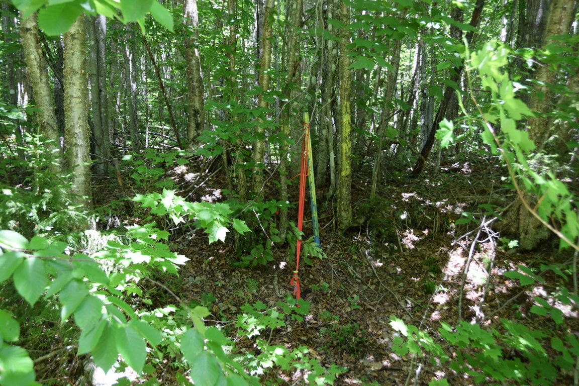 MSO3 L16 Flow Road Carrying Place Twp