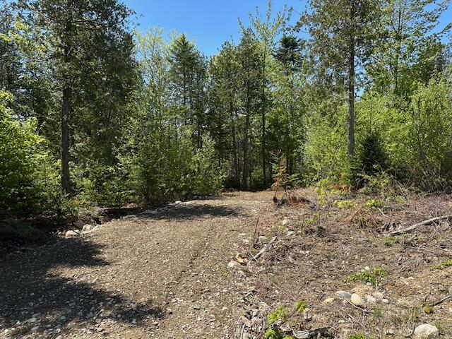 Lot 13 Mt. Jefferson Heights Lee