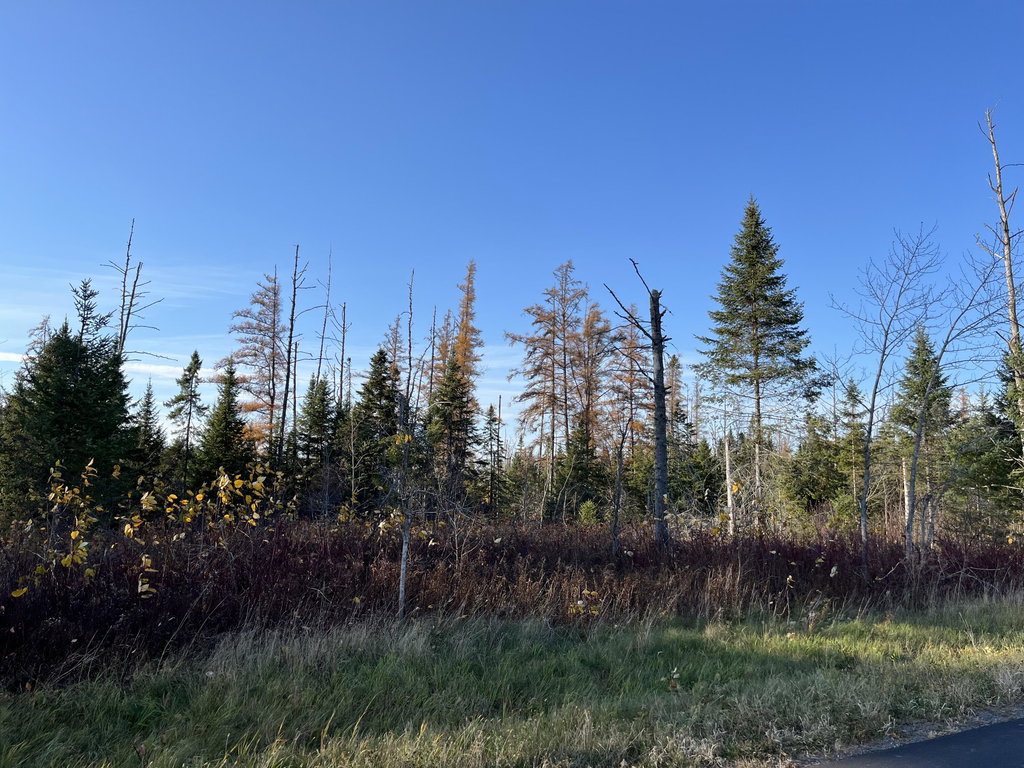 0 Albair Road Caribou