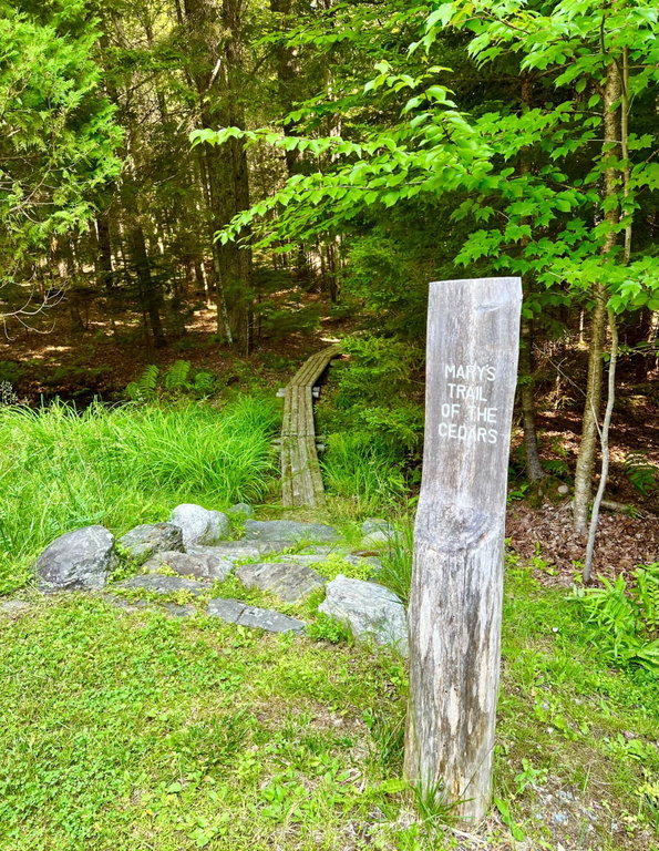 Walking Path