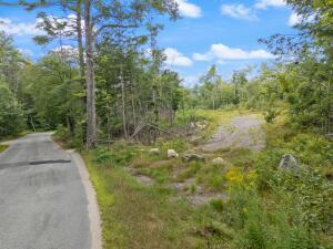 Lot 1 Map 49 Lot 16.2 Sanborn Road Newfield