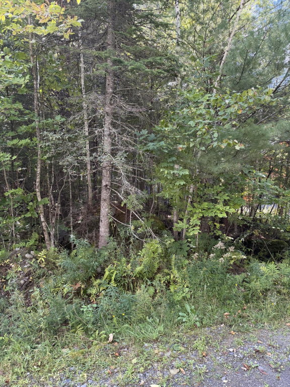 M1 L95 Sunset Ridge  Sebec