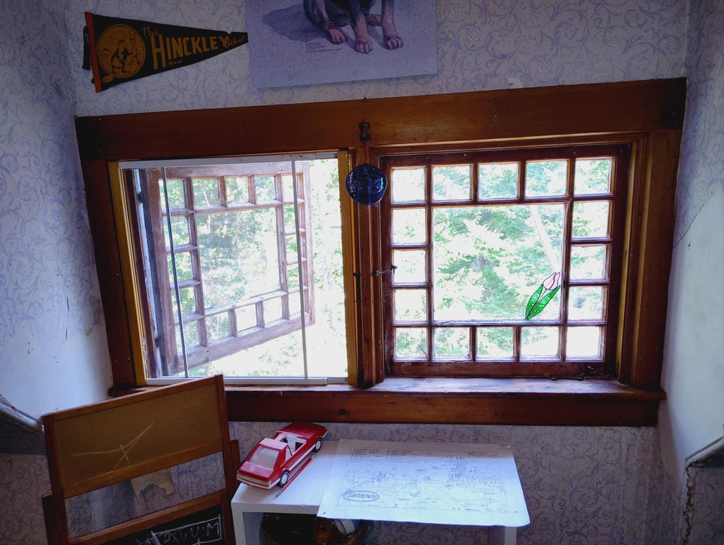 WINDOWS