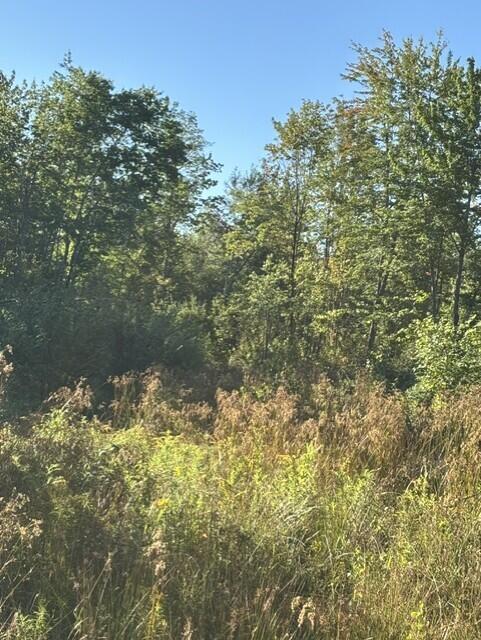 Map2 Lot30 Weeman Road Detroit