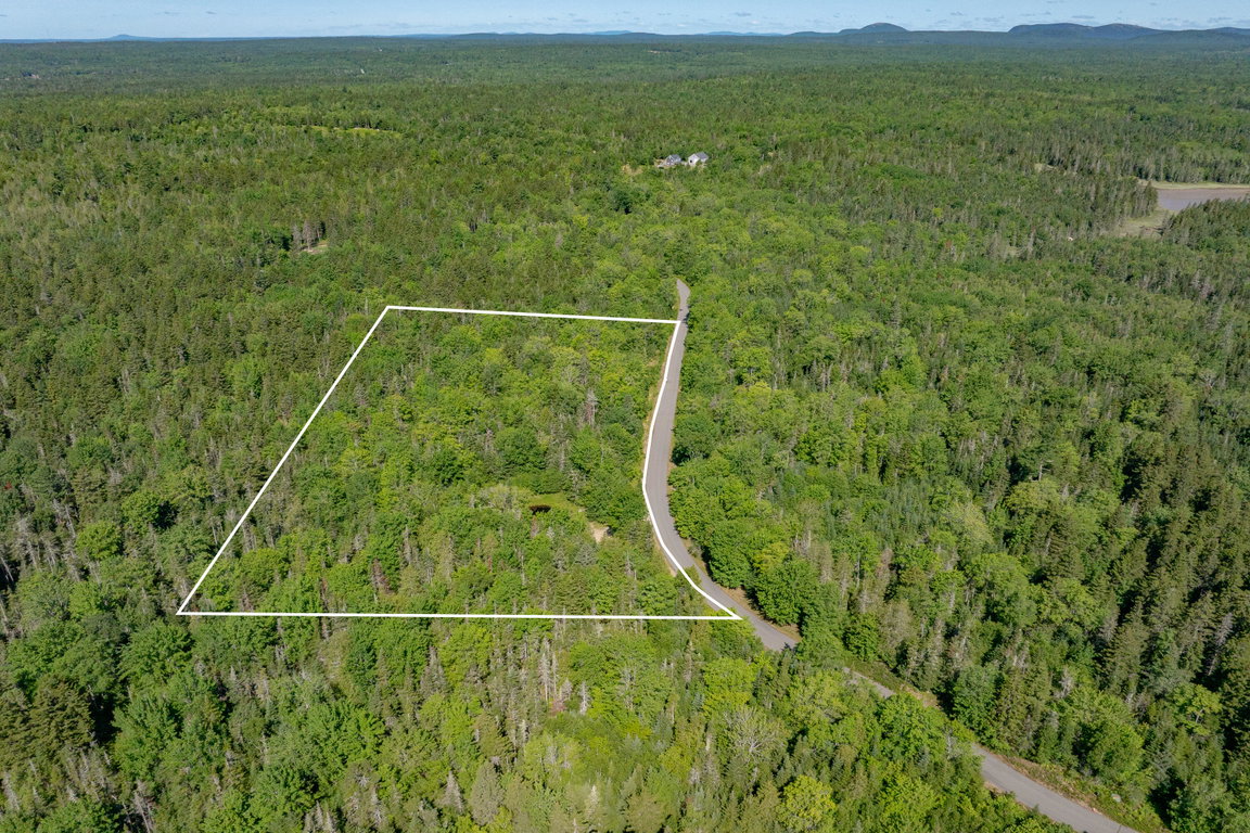 11-Lot 12_ Merganser Drive-DTP