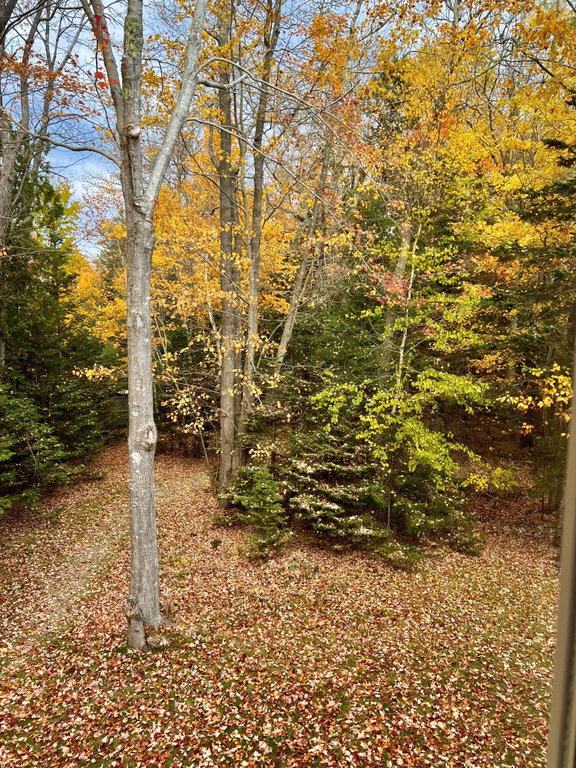 View From Unit 206