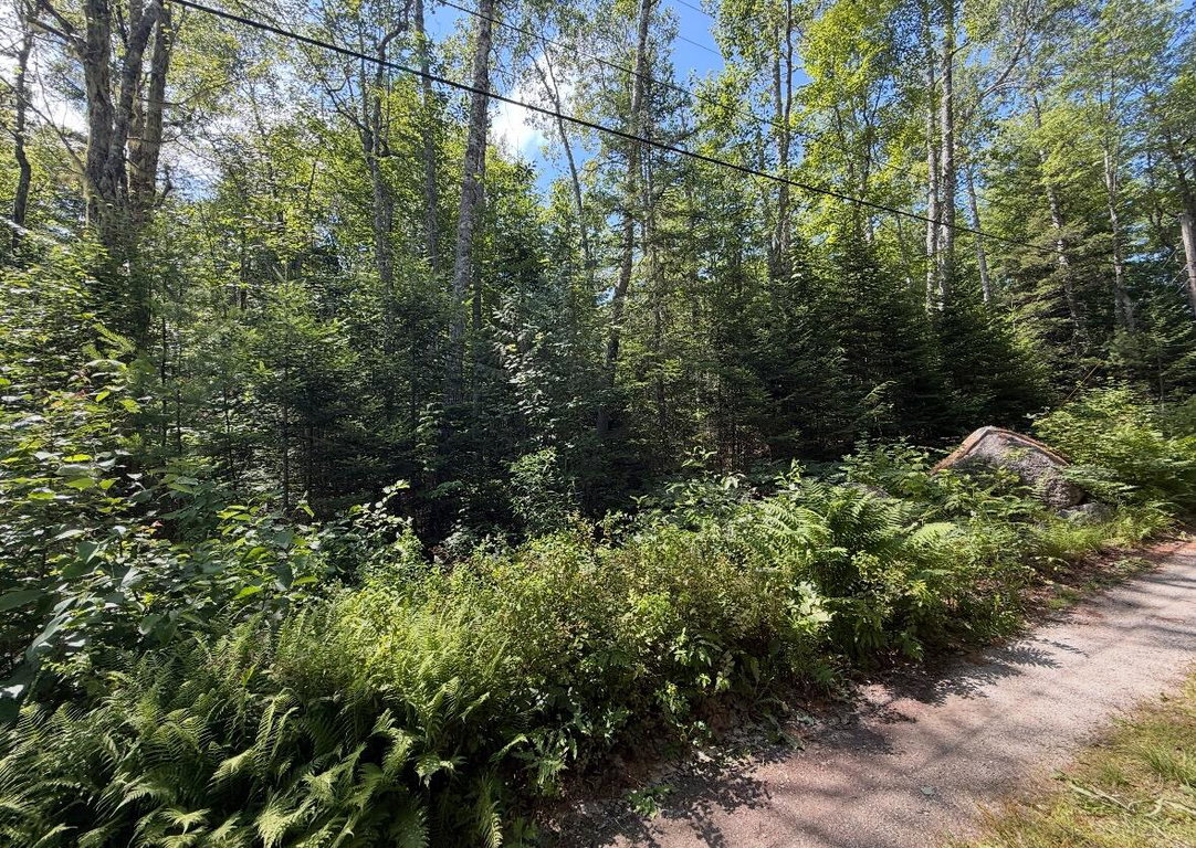 Lot 23 Webb Pond Rd