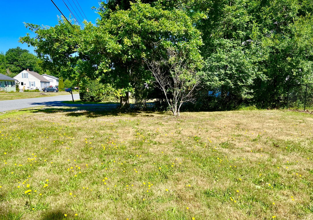 Side lawn