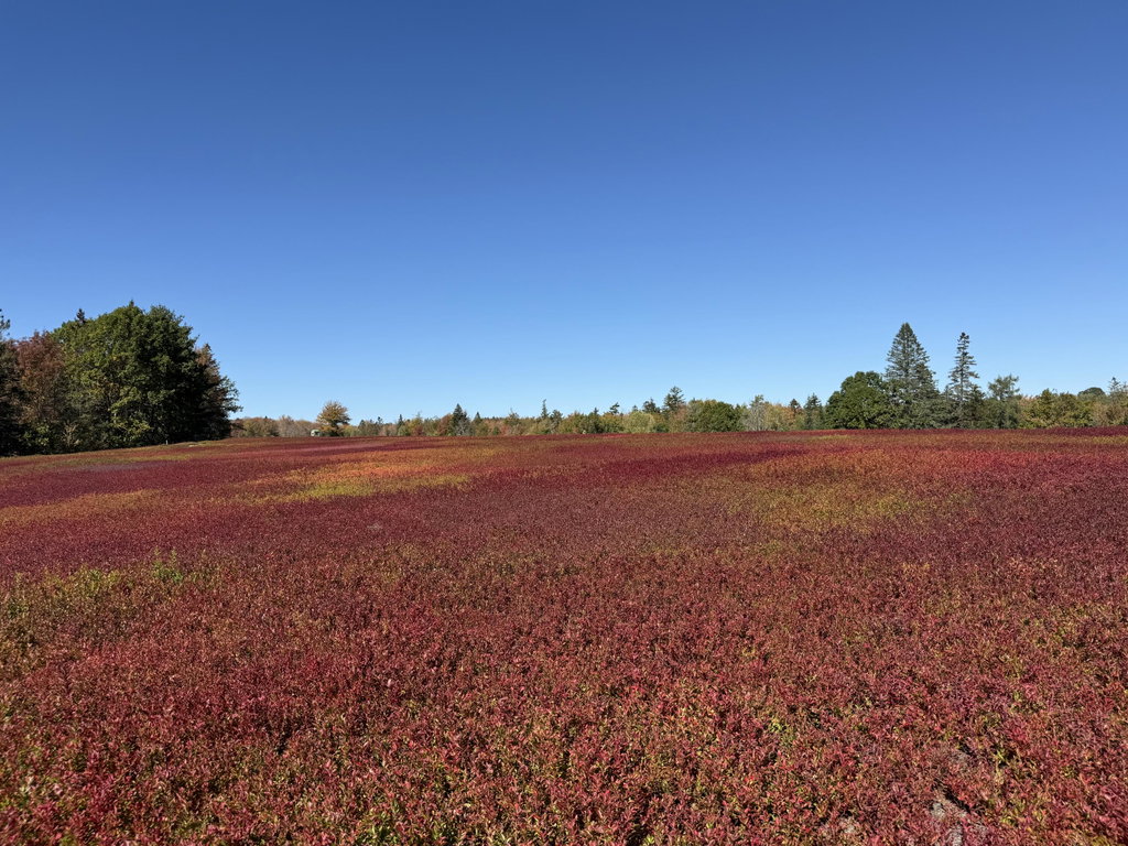MAP 31 LOT 29
