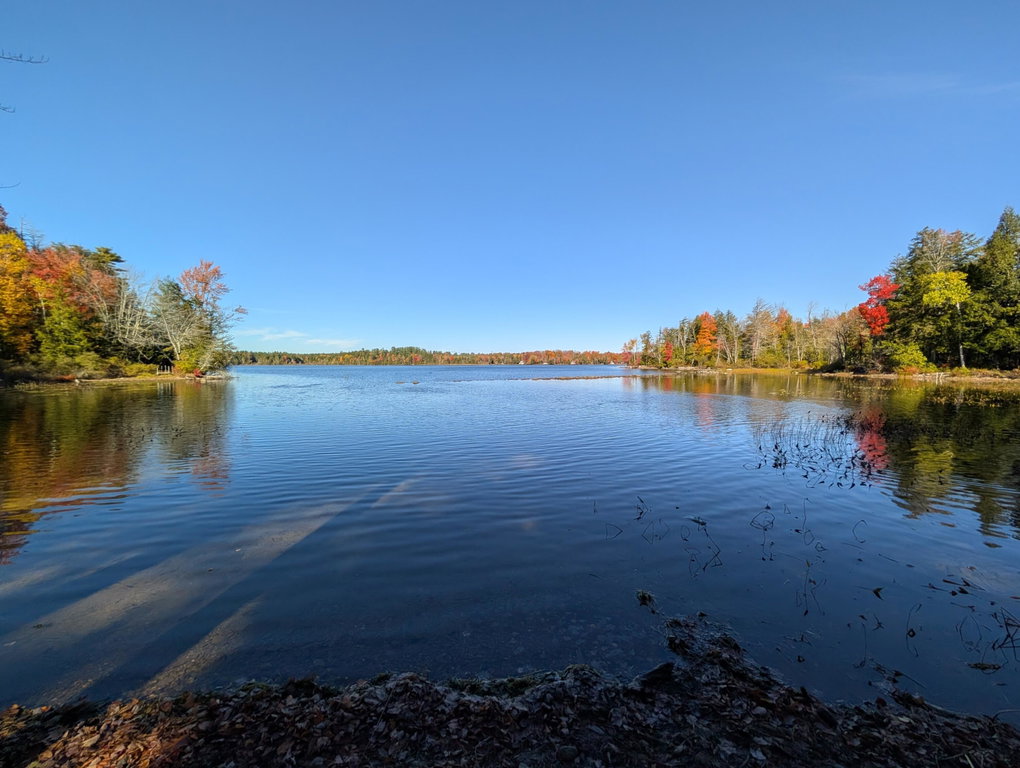 137 Loon Cove Stetson