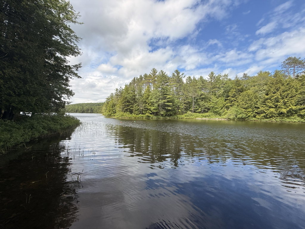 View on Dock