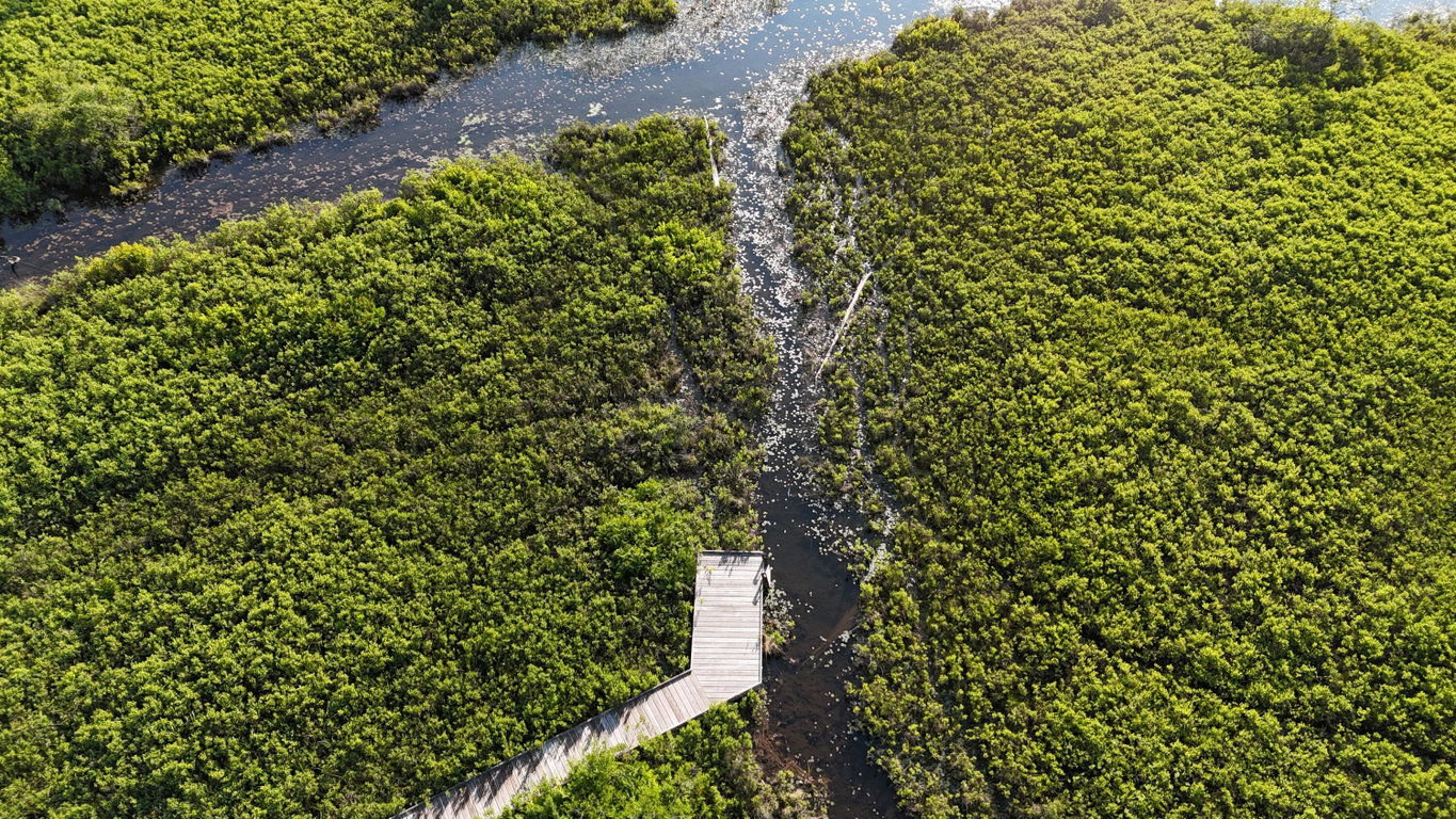 DJI_20250621065846_0014_D