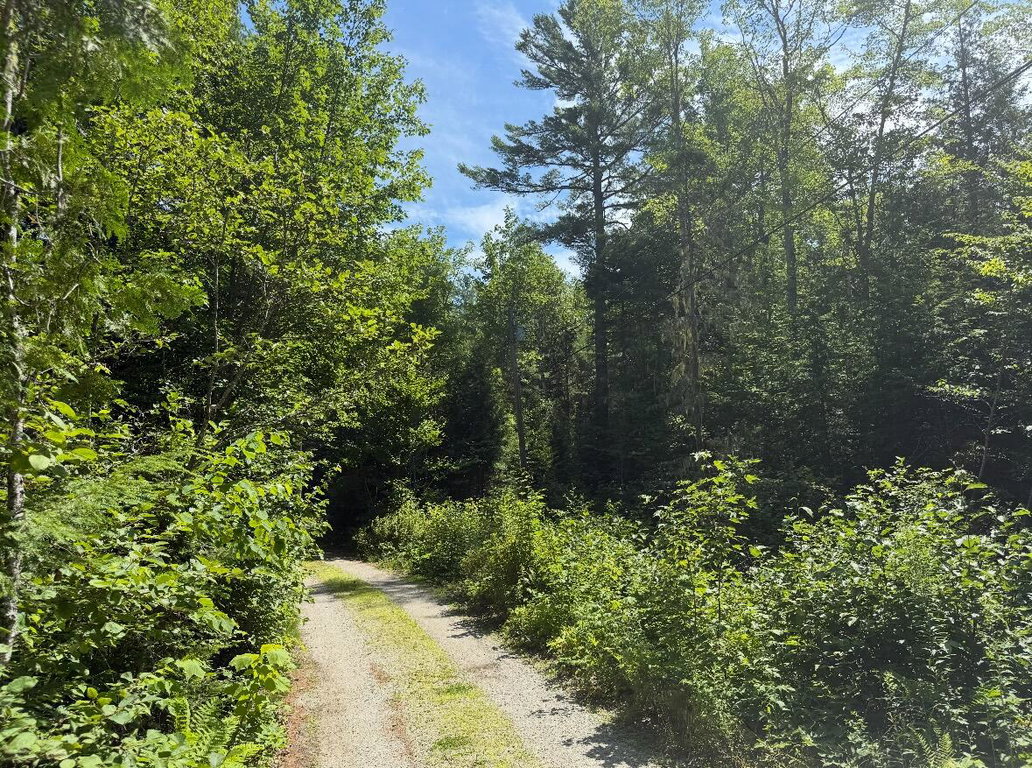 Lot 23 Webb Pond Rd