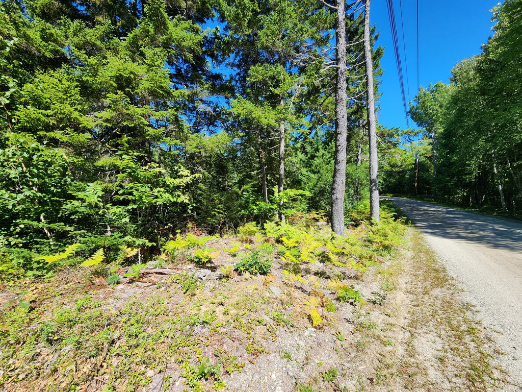Mattson Lane, Blue Hill