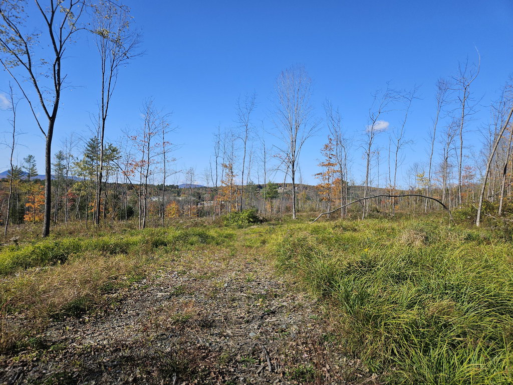 R11-033 Bailey Hill Road Farmington