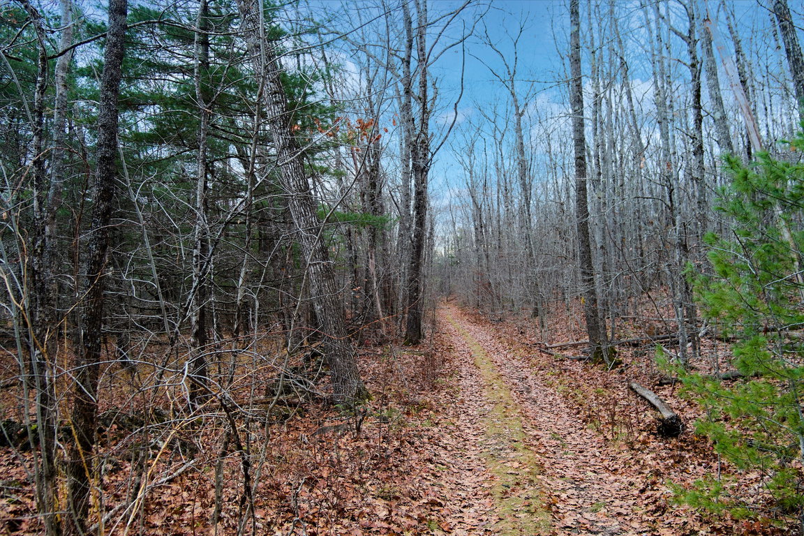 Lot 151 Dunbar Road Thomaston