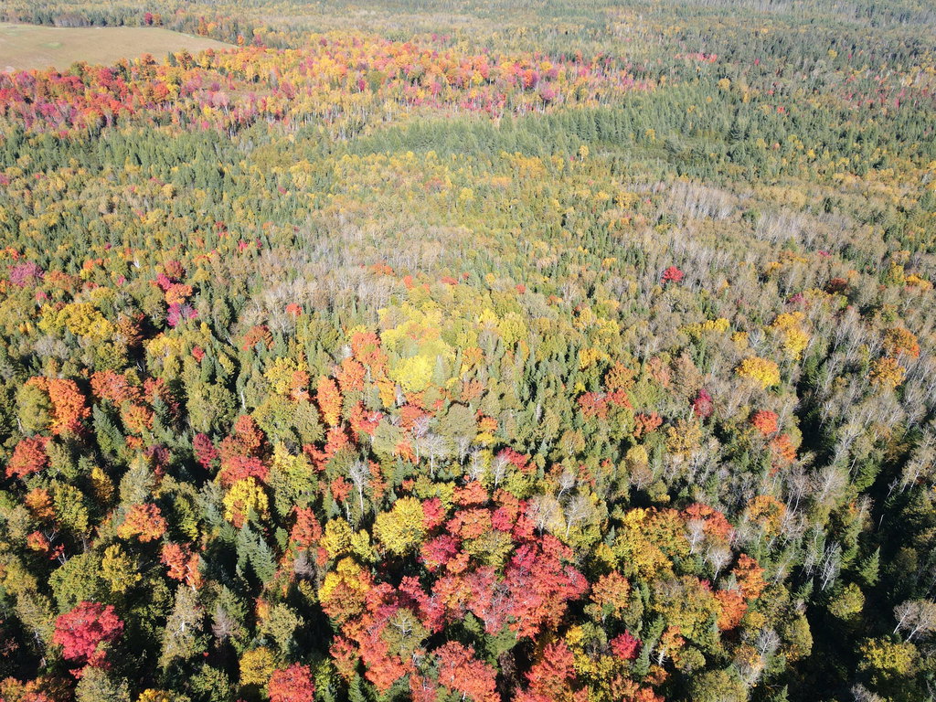 Lot 97A New Sweden Road  New Sweden