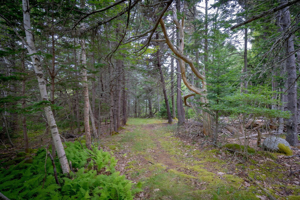 164backroad - 78