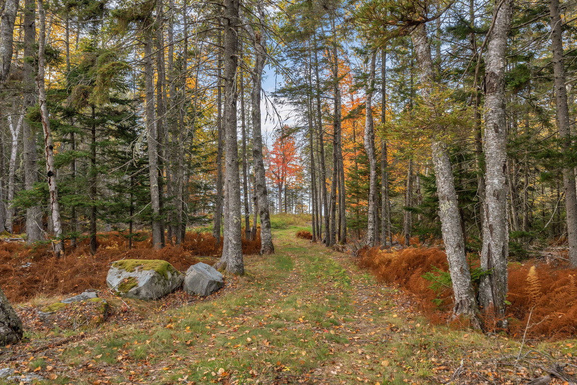 15-web-or-mls-495-north-deer-isle-land