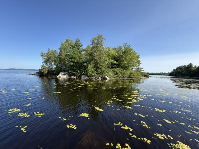 Lot 018 Pike Island Meddybemps