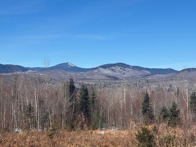 Lot #20 Hollis Drive (Eagle Ridge) Road Kingfield