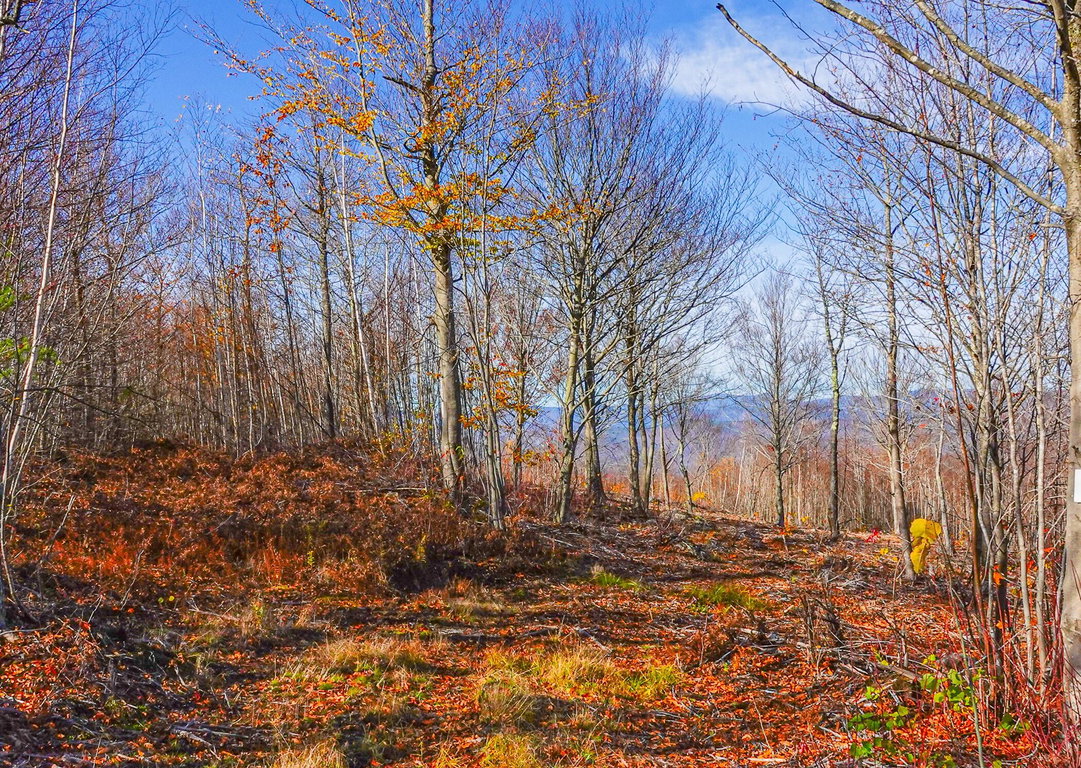 Lot 5 Mine Road Stoneham
