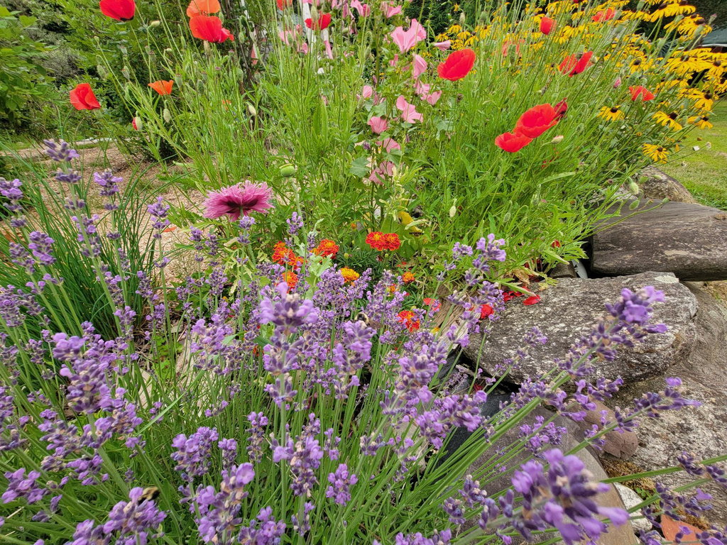 Extensive Gardens