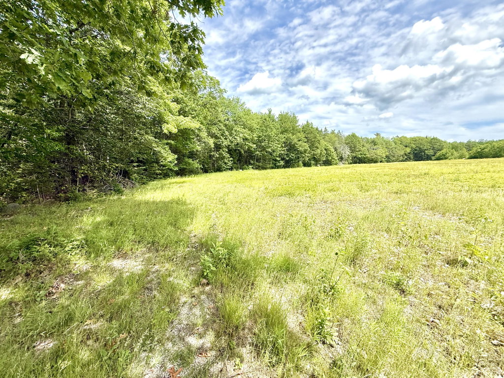 Lot 4